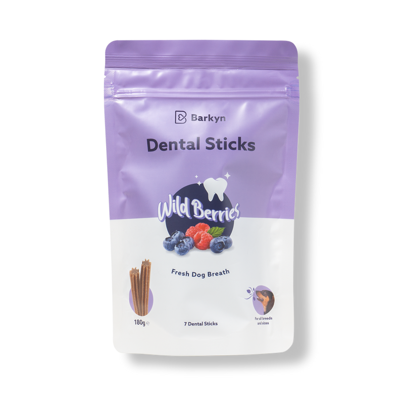 Dental Sticks Frutos do Bosque
