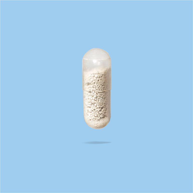 Probiótico para digestão