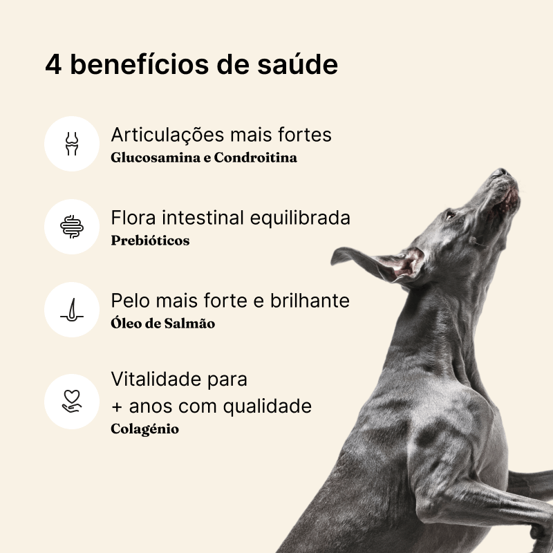 Ração Longevidade · Core 15