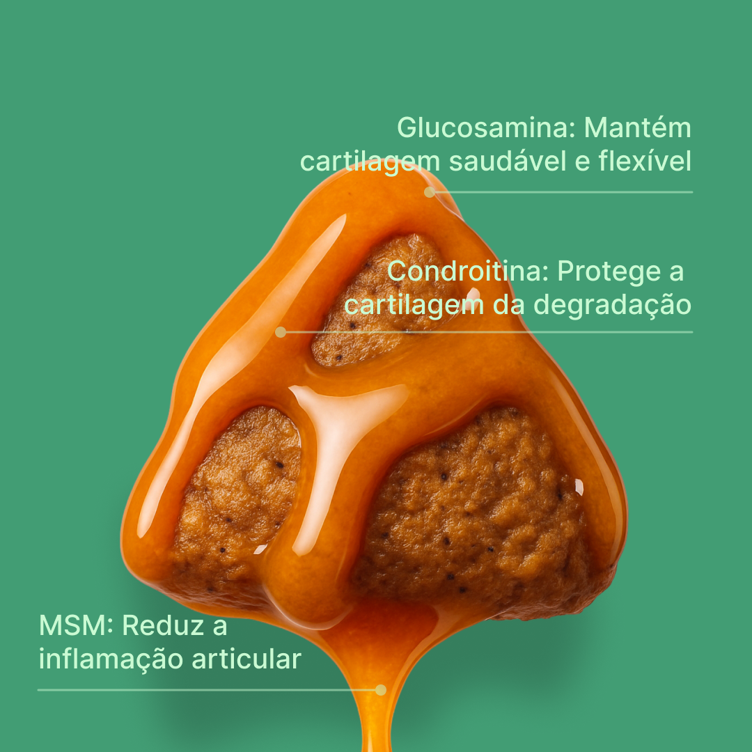 Suplemento Anti Dysplasia