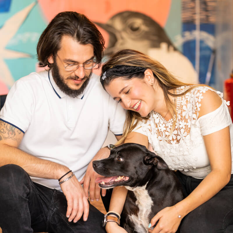 Receita feita à medida do seu cão