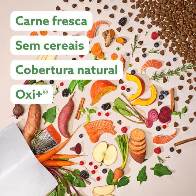 Receita feita à medida do seu cão