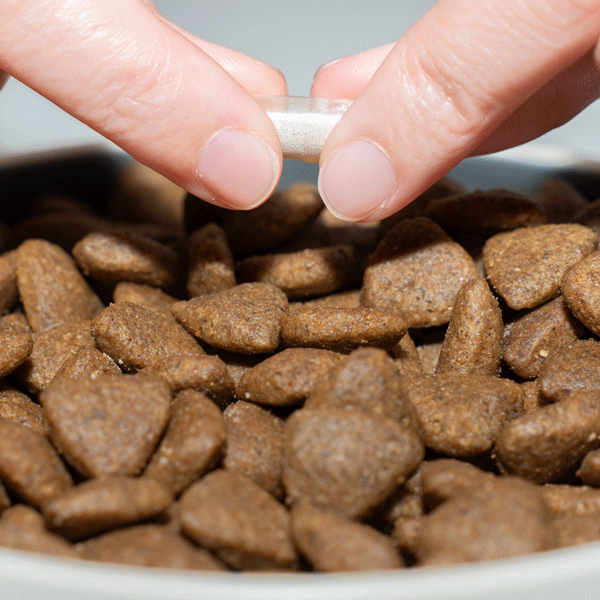 Pack “Novo Começo”