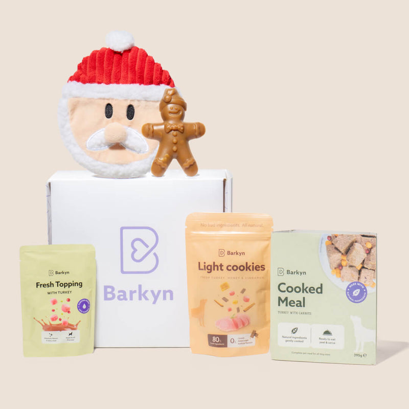 Surprise Box de Natal