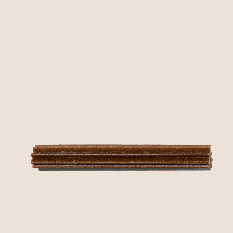 Dental Sticks Frutos do Bosque