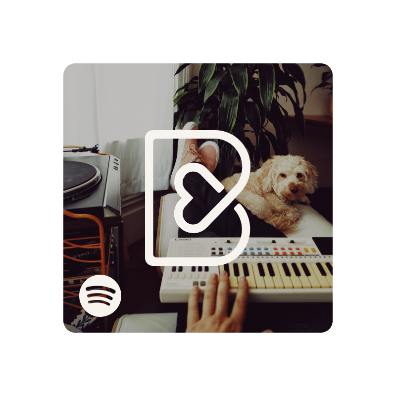 Playlist Barkyn