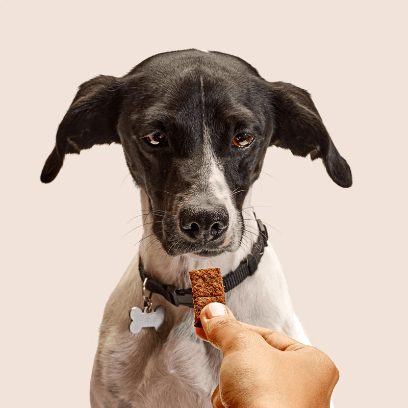 Biscotti light al cocco - Barkyn Store