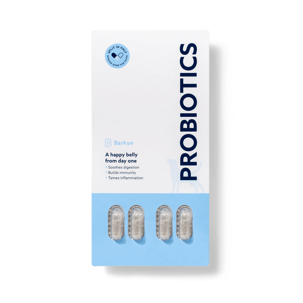 Probiótico para digestão