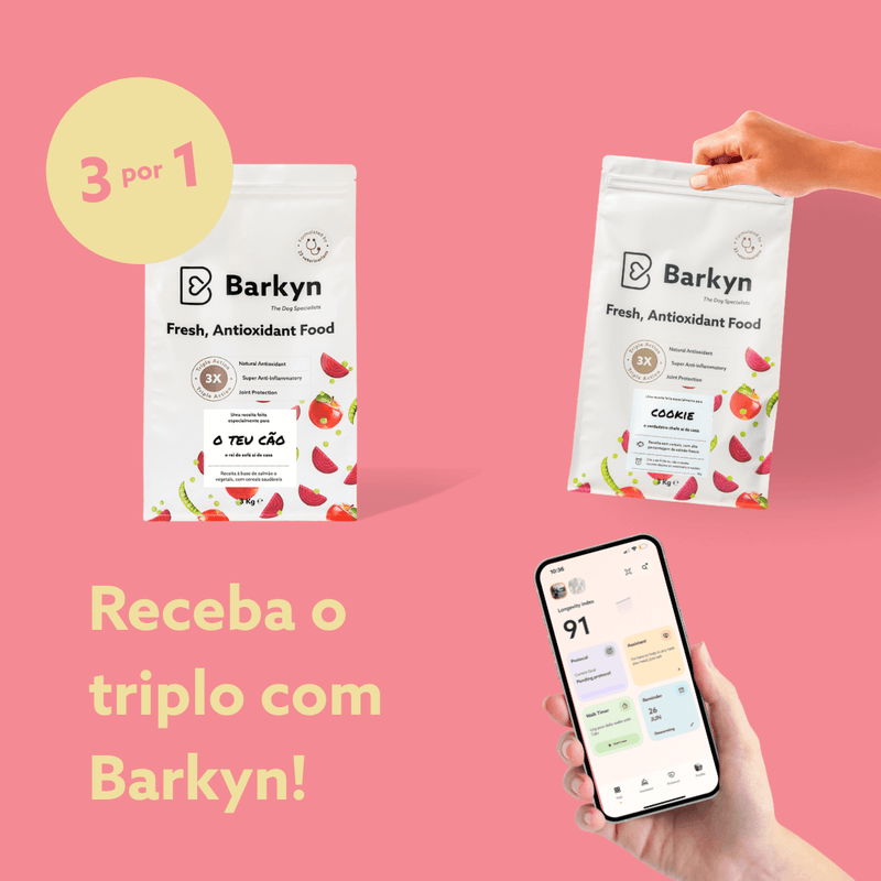 2 meses de experiência Barkyn · 24kg por mês