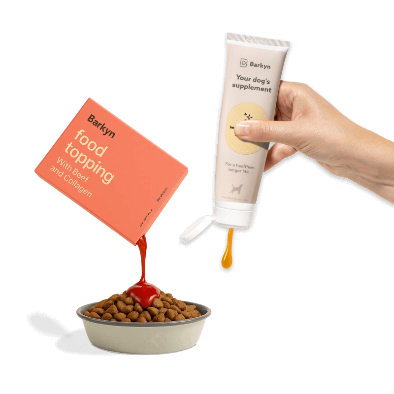 Programa Longevidade