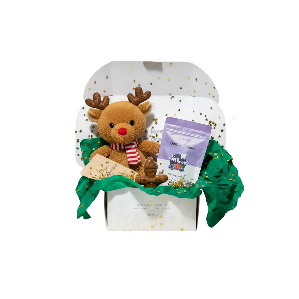 Surprise Box de Natal (edição 2025)