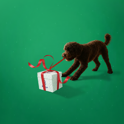 Surprise Box de Natal (edição 2025)