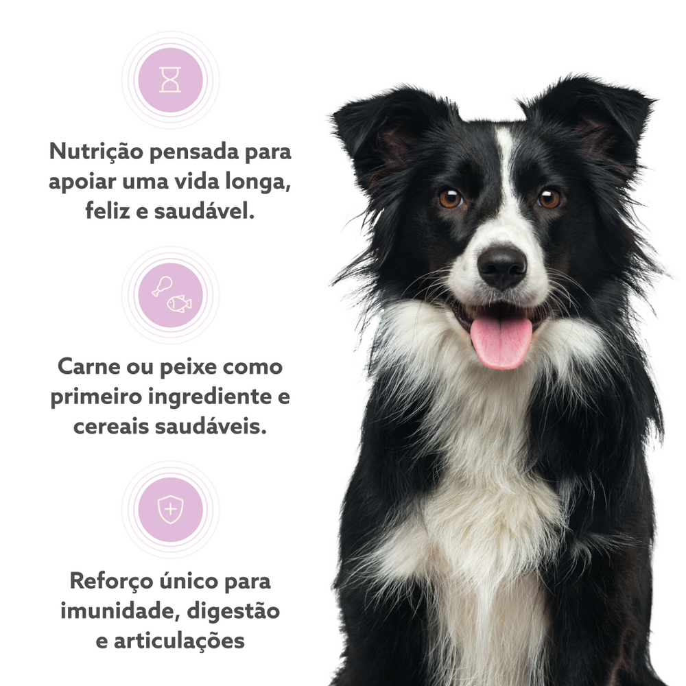 Ração Anti-Ageing