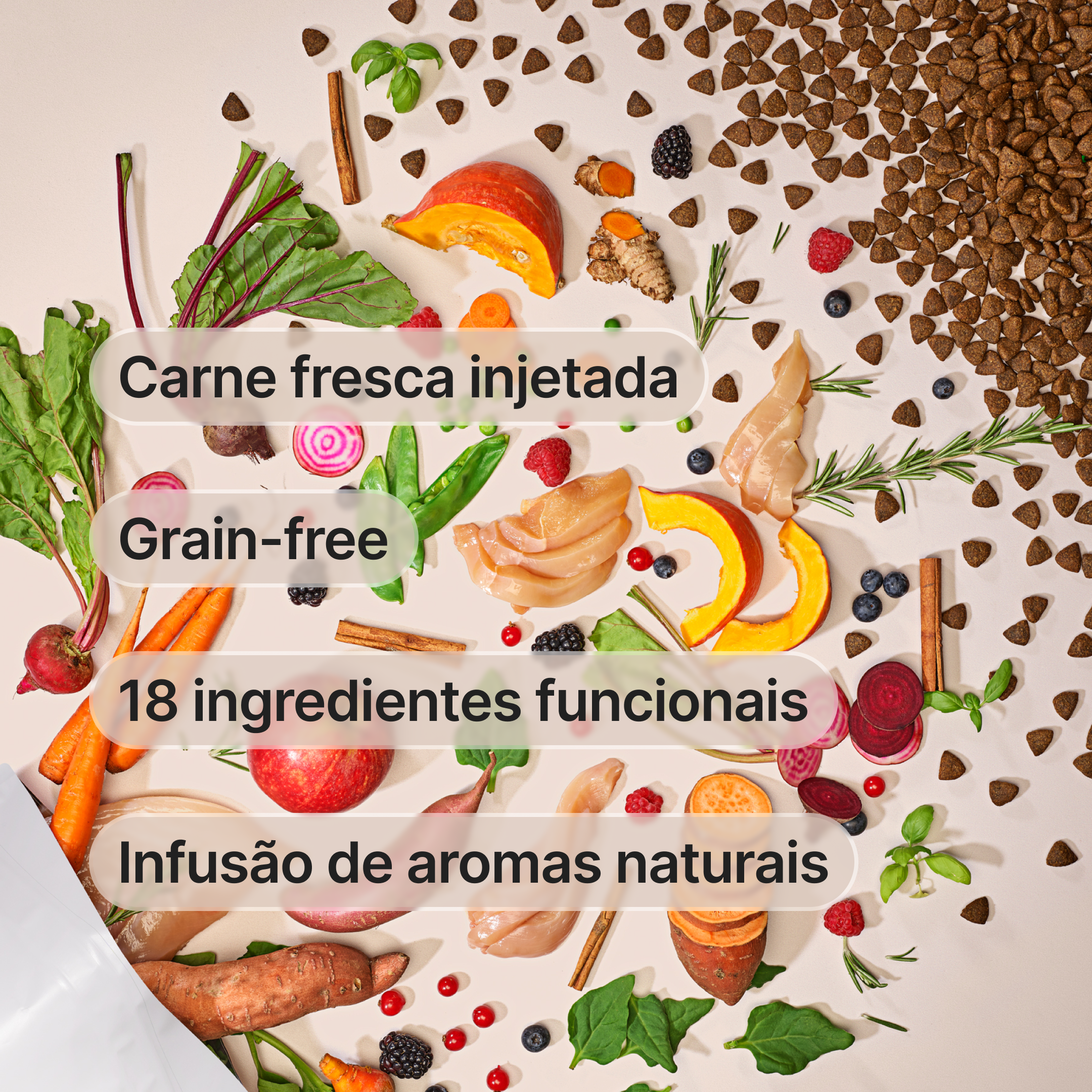 Pack “Novo Começo”