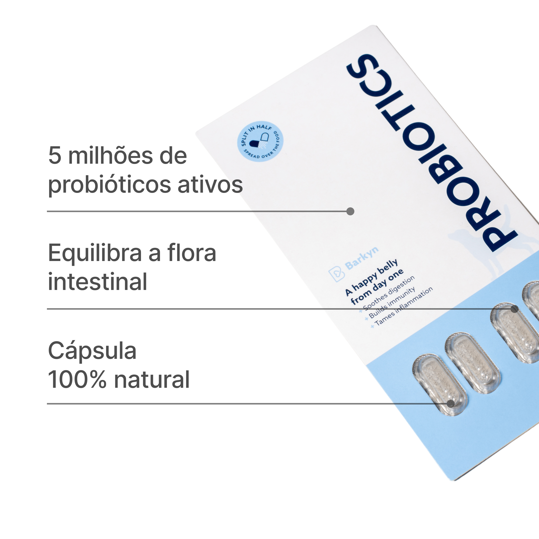 Pack “Novo Começo”