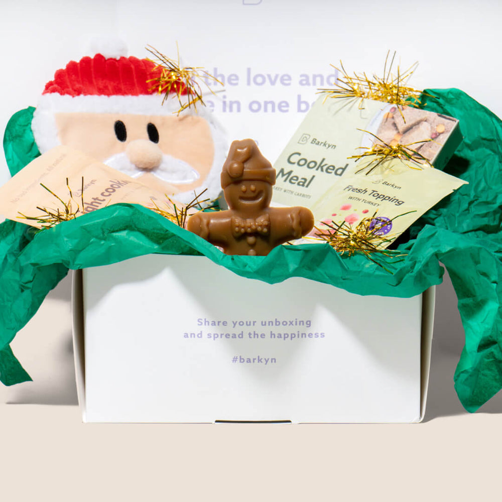 Surprise Box de Natal