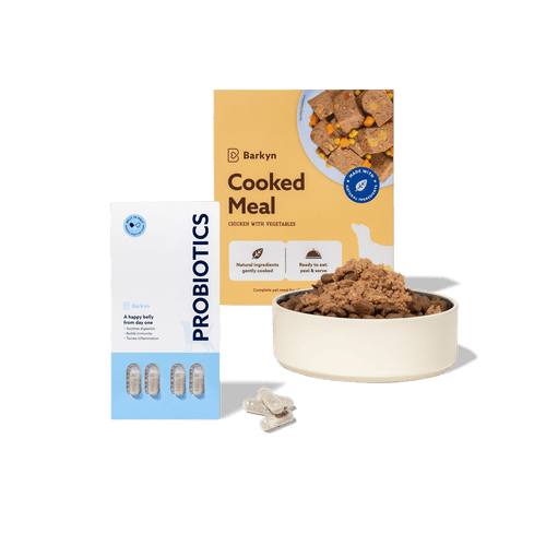Pack Digestão - Sabor irresistível, apetite regulado