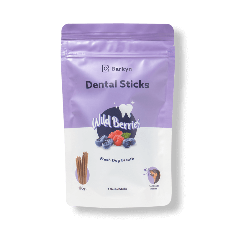 Dental Sticks Frutos do Bosque.