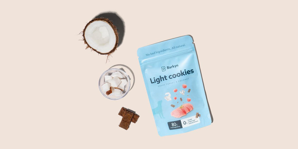 Bolachas light de carne fresca e coco