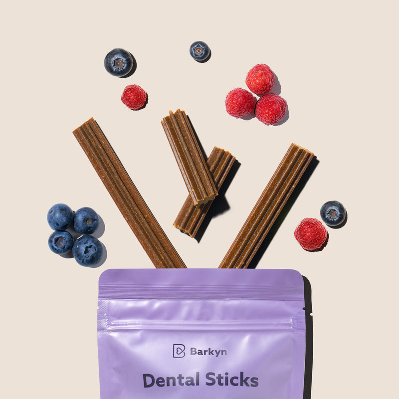 Dental Sticks Frutos do Bosque
