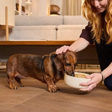 Uma dona a dar a taça de comida fresca Barkyn ao seu cão, em casa
